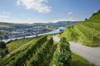 Welcome to the Luxembourg vineyard