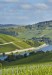 The Moselle region