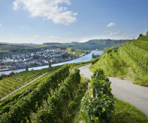 Grevenmacher-103