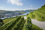 Bienvenue dans le vignoble Luxembourgeois