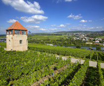 Schengen Markusberg-103