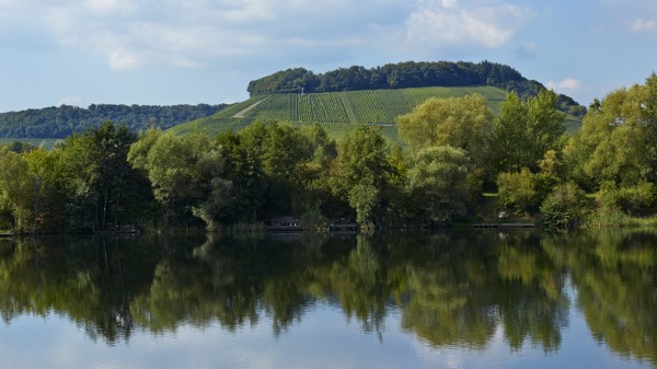 Wintrange Felsberg-101