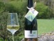 Riesling Bio Mertert Herrenberg 2014 300dpi