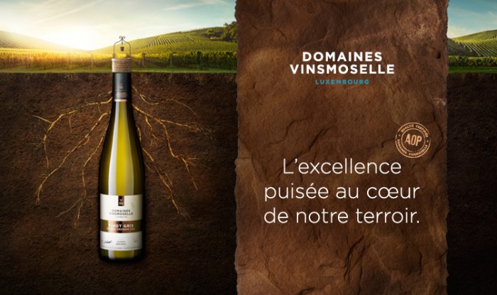 4907-DOM VINSMOS 12m2 utopolis R2