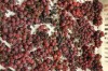 Vin de Paille 2016 Vin de Paille 2016