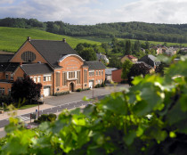 Caves des vignerons de Wellenstein