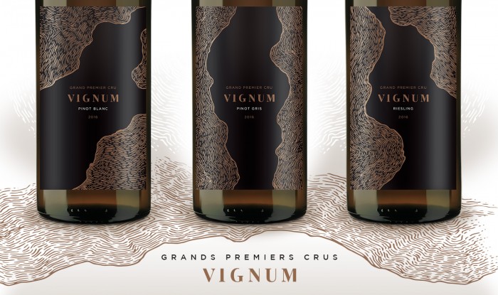 DVM magnum vignum bandeau slide site