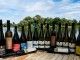 BerlinerWineTrophy all