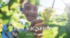 Les Vignerons de la Moselle
