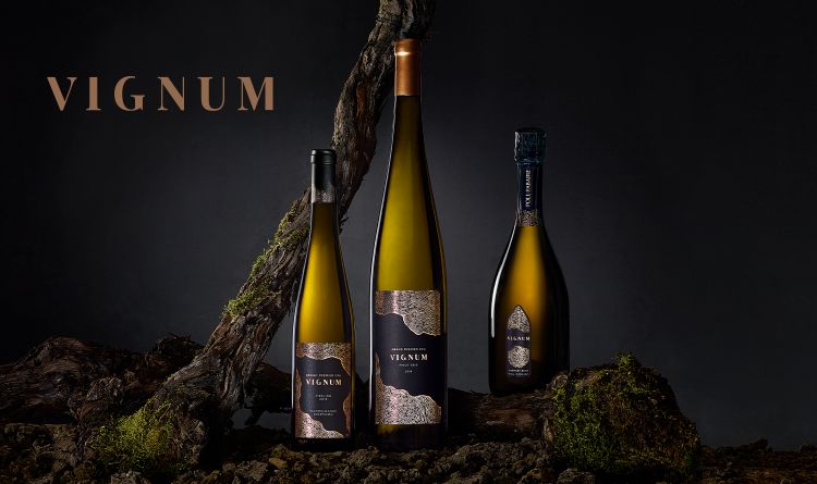 Slider-Vignum